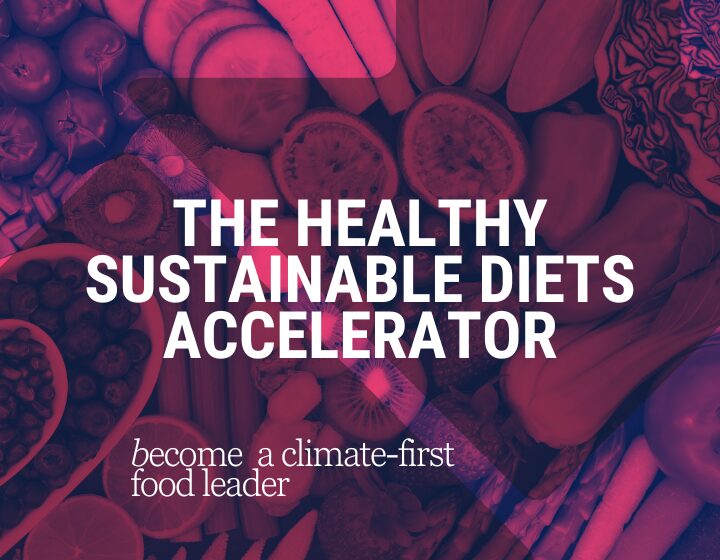 the-sustainability-accelerator-2-3