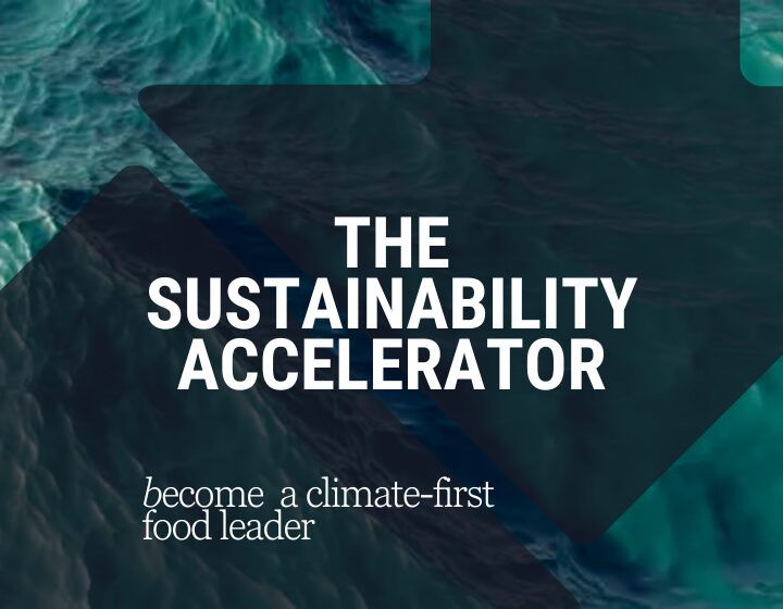 the-sustainability-accelerator-4