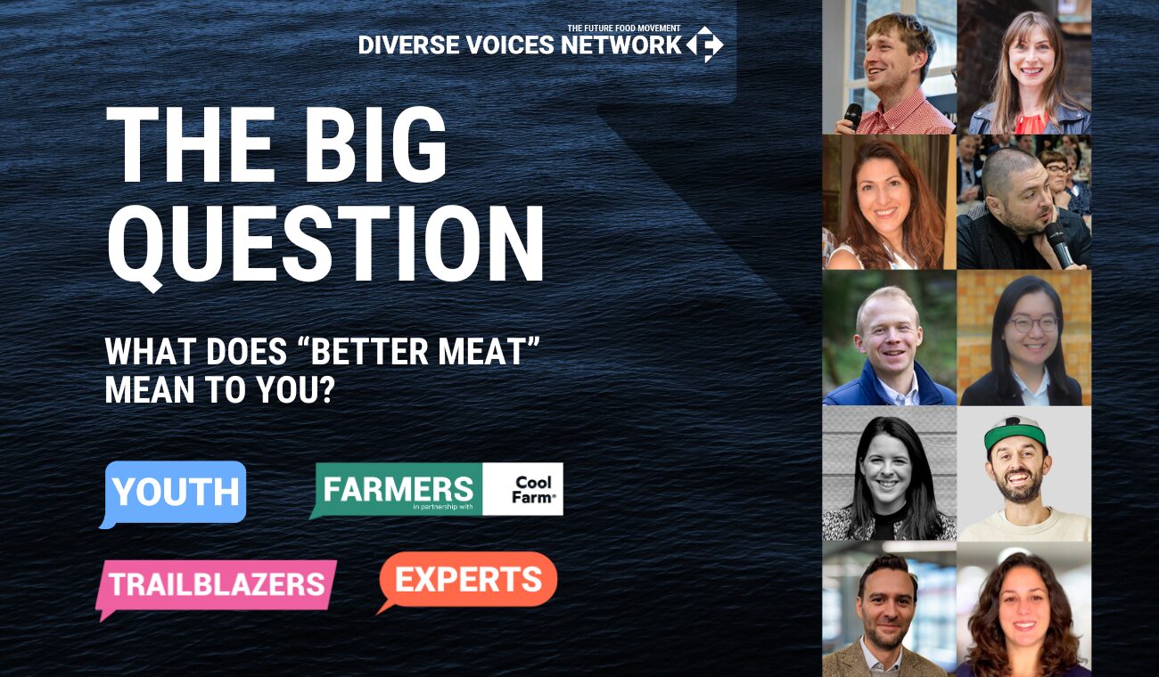 DIVERSE VOICES NETWORK – THE NEXT BIG QUESTION